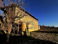 V Terreno agricolo Borgo Tossignano