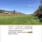 Vendita Terreno Agricolo Sona