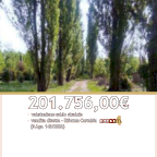 Vendita Terreno Agricolo Caneva