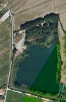 vendita terreno agricolo Vicopisano