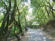 vendita terreno residenziale Siena