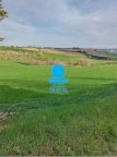 Vendita Tenuta Tavullia