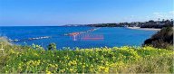 Vendita Villa Trani