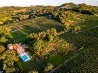 V Villa Calamandrana