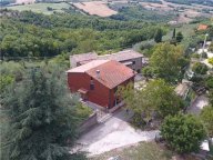 Vendita  Collazzone