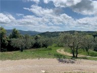 Vendita  Collazzone