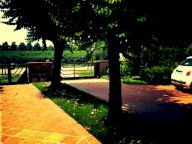 Vendita villa CAPRAIA E LIMITE