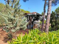 vendita villa Rosignano Marittimo