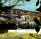 Vendita Villa Ghemme