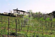 vendita villa Pontedera