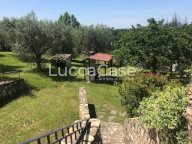 vendita villa Lucca