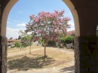 vendita villa Peccioli