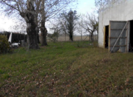 Vendita Villa Copparo