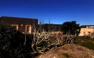 Vendita Tenuta Pantelleria