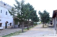 Vendita Tenuta Bitonto