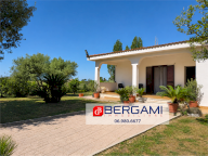 Vendita Villa Nettuno