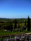 vendita villa Manciano