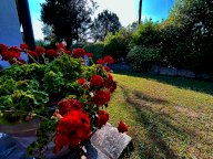 vendita villa Montelupo Fiorentino