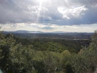 vendita villa Scansano