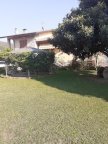vendita villa Montignoso