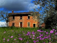 vendita villa Fucecchio