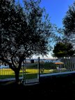 vendita villa San Giovanni a Piro