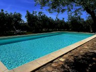 vendita villa Bibbona
