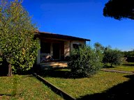 vendita villa Crespina Lorenzana