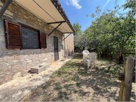 Affitto Appartamento Spoleto
