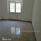 Affitto  Albano Laziale