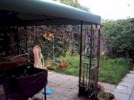 affitto appartamento Rosignano Marittimo