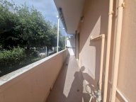 affitto appartamento Rosignano Marittimo