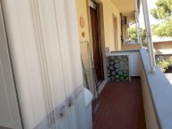 affitto appartamento Rosignano Marittimo