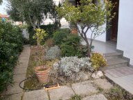 affitto appartamento Rosignano Marittimo