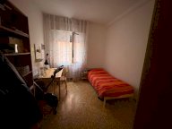 affitto appartamento Pisa