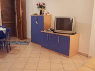 affitto appartamento Rosignano Marittimo