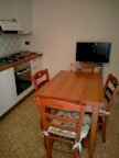 affitto appartamento Rosignano Marittimo