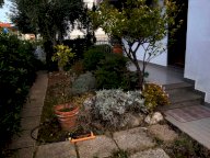 affitto appartamento Rosignano Marittimo