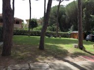 affitto appartamento Rosignano Marittimo