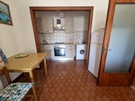 affitto appartamento Rosignano Marittimo