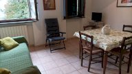 affitto appartamento Rosignano Marittimo
