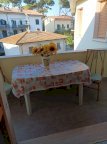 affitto appartamento Rosignano Marittimo