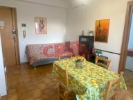 affitto appartamento Rosignano Marittimo