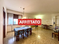 affitto appartamento Pisa