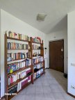 affitto appartamento Collesalvetti