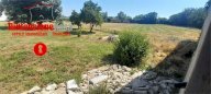 Affitto Terreno San Felice a Cancello