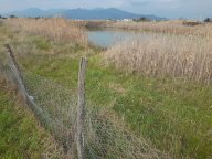 affitto terreno agricolo Cascina
