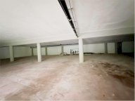 Affitto Magazzino Capannori