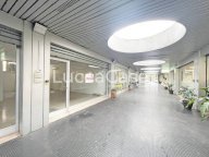 affitto negozio Lucca