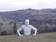 affitto capannone commerciale Peccioli